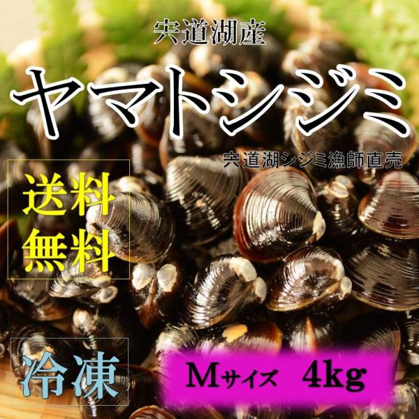 シジミ 宍道湖産 Mサイズ ４ｋｇ 送料無料 冷凍 砂抜き済み