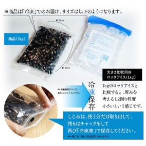 島根県・宍道湖産冷凍しじみ Mサイズ 3kg(...の詳細画像2