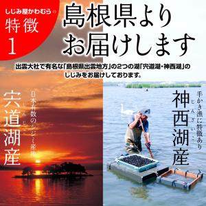 島根県・宍道湖産冷凍しじみ Mサイズ 3kg(...の詳細画像3
