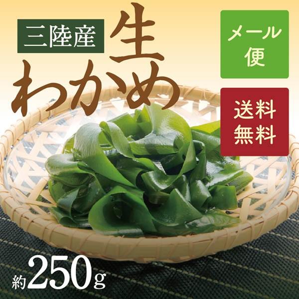 わかめ　三陸産・深層水生わかめ　250g【W250】