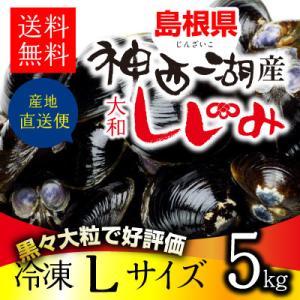 島根県・神西湖産 冷凍しじみ　Lサイズ 5kg（1kg×5袋・5キロ）送料無料 砂抜き済 シジミ 蜆 お取り寄せ しじみ屋かわむら【JL5】｜shijimiyakawamura