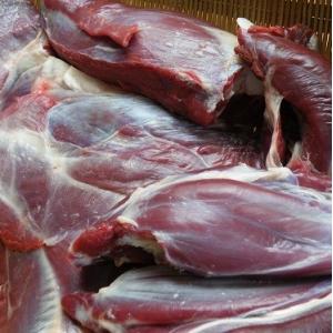ペット用 えぞ鹿肉 前足 1kgの詳細画像1