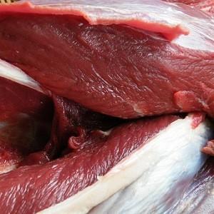 ペット用 えぞ鹿肉 前足 1kgの詳細画像3