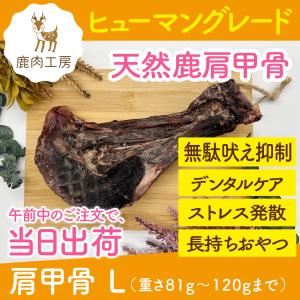 犬 鹿 げんこつ S 重さ50 100ｇまで 無添加 国産 兵庫県産 ご褒美 歯石取り歯磨き 無駄吠え防止しつけ犬用 餌 子犬 大型犬 シニア ダイエット ギフト Gen S 鹿肉工房 通販 Yahoo ショッピング