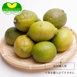 池田鹿蔵みかん農園 レモン Yahoo ショッピング