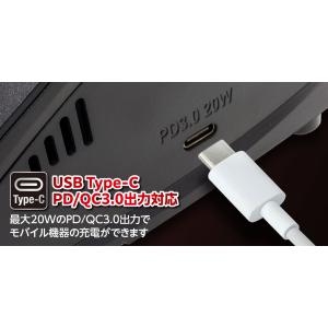 【日本正規品】 ハイテック X2 AC PLU...の詳細画像4