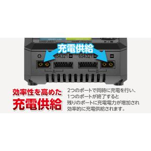 【日本正規品】 ハイテック Multi Cha...の詳細画像3