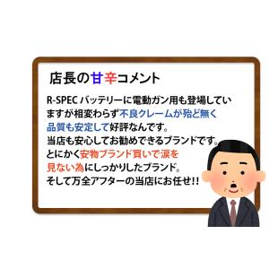 ハイテック XPOWER R-SPEC 11....の詳細画像4