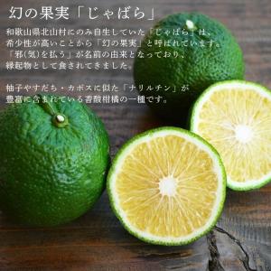北山村公式 じゃばらサプリ 32.6g(350...の詳細画像1
