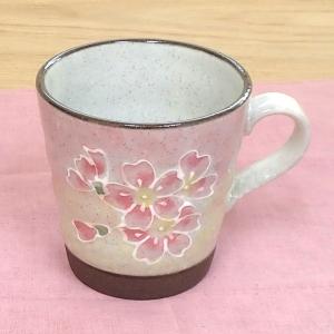 抹茶茶碗 桜志野 抹茶碗 美濃焼 陶器 土物 おしゃれ 24a618-25 : 四季