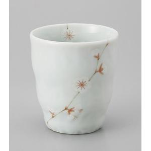 抹茶茶碗 白貫入抹茶碗 和食器 美濃焼 24a622-10 : 四季彩-陶器ONLINE