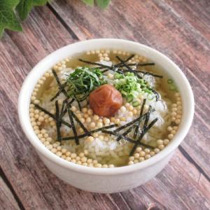 パスタ皿 24cm 白磁 美濃焼 日本製 カレー皿 スープ皿 深皿 業務用 食