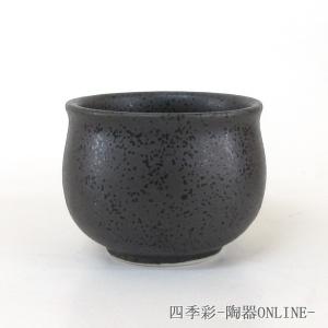 蛇の目きき猪口 2勺 ぐい飲み 陶器 日本酒 おしゃれ 酒器 業務用 美濃