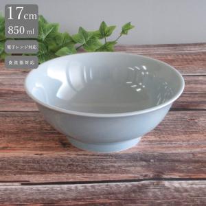 皿 楕円皿 24cm 9インチプラター 餃子皿 青磁 青彩 おしゃれ 中華食器