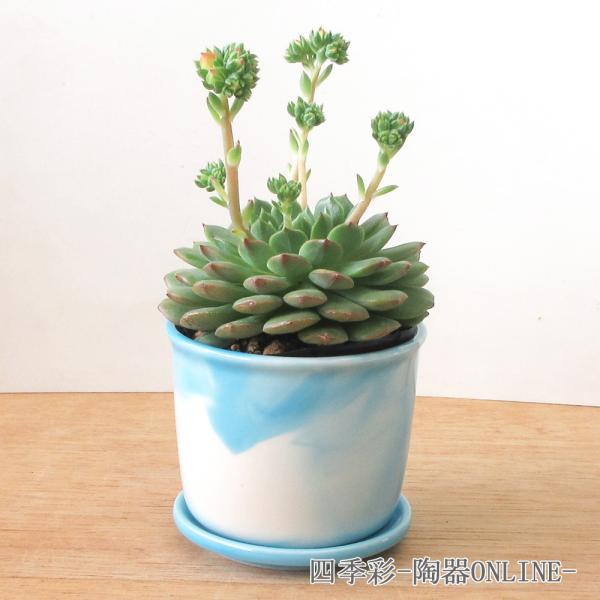 植木鉢 受け皿 セット  ブルーマーブル ポット おしゃれ 鉢 陶器 美濃焼