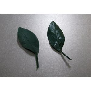 しきみの葉 1対(2個) 華鋲用 造花 ※クリ...の詳細画像1