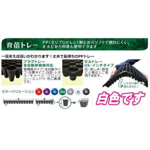 プラグトレー 128穴（100枚） ※同梱・代引き不可 : しこく市場 - 通販