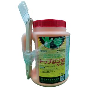トップジンMペースト 1kg ゆ合剤の商品画像