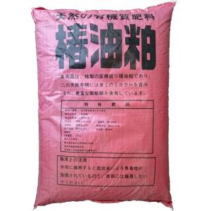 椿油粕（ペレット）20kg　特殊肥料 条件付き送料無料　注：写真と商品は異なる場合あり