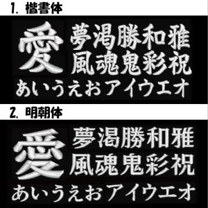 クラブチーム刺繍ワッペン楕円2段/チームワッペ...の詳細画像4