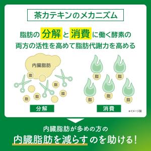 [トクホ] ヘルシア 緑茶 スリムボトル 35...の詳細画像3