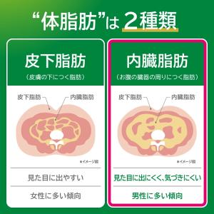 [トクホ] ヘルシア 緑茶 1050ml お茶...の詳細画像4