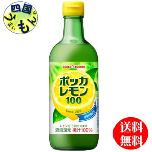 【2ケースセット】ポッカサッポロ　ポッカレモン 100 450ml瓶×12本入２ケース｜shikokuumaimonya