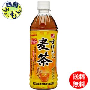 サンガリア すばらしいお茶 麦茶 (500mlペットボトル×24本）1ケース 24本