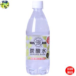 【2ケースセット】友桝飲料 強炭酸水  レモン　500mlペットボトル×24本 ２ケース　48本 炭酸水｜四国うまいもんや Yahoo!店