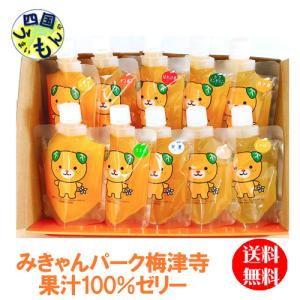 みきゃんパーク梅津寺　愛媛柑橘　飲むみかんゼリー　10本セット×170ｇ 1箱　温州みかん　伊予柑　デコポン　じゃばら　美生柑　甘夏【四国物産】｜shikokuumaimonya