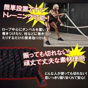トレーニングロープ バトルロープ 50mm x 長さ12m プログレード