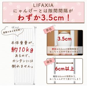 【P2倍!2000円OFFクーポン!】 【にゃ...の詳細画像4