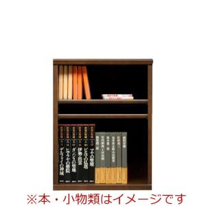 本棚 おしゃれ 収納 棚 ラック 幅60 コミックラック 家具 書籍 漫画