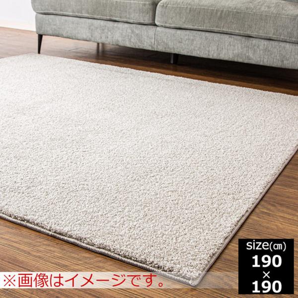 ラグ　フロッシュ2　190×190　SV (玄関先お渡し商品)