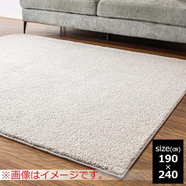 ラグ　フロッシュ2　190×240　SV (玄関先お渡し商品)