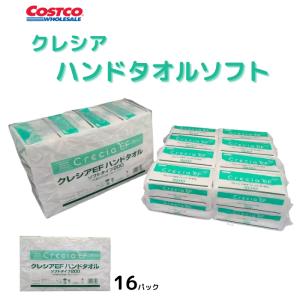 OXICLEAN オキシクリーン コストコ マルチパーパスクリーナー5.26kg 除