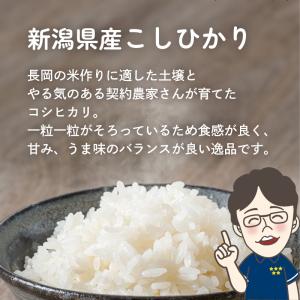 新米 お米 新潟県産 無洗米 コシヒカリ 白米...の詳細画像4
