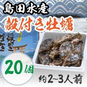 広島県産 島田水産 冷凍殻付き牡蠣 20個｜shimadasuisan