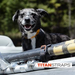 TITANSTRAPS(タイタンストラップ) ...の詳細画像4