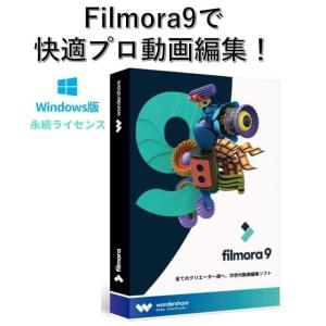 【USBメディア付】Wondershare Filmora 9 動画編集ソフト Windows版 使いやすいビデオ編集ソフト　永続ライセンス【ライセンスカード＆USBメモリ】