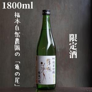 東洋美人(とうようびじん) 醇道一途 亀の尾 1800ml【山口県発送】日本酒 純米吟醸 限定酒