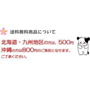 送料無料 マルサン 豆乳飲料 麦芽コーヒーカロ...の詳細画像1