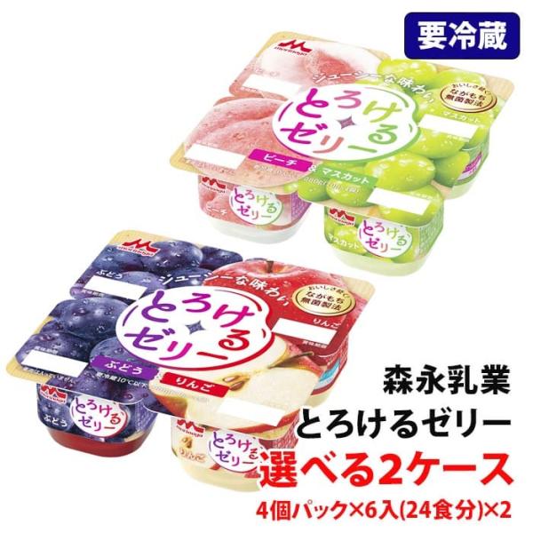 【要冷蔵】 森永乳業 とろけるゼリー 2ケース (4個パック×6入)×2 ロングライフ 選べる 個食...