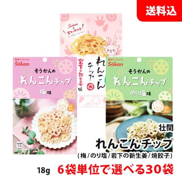 送料無料 れんこんチップ 30袋セット 18g 6袋単位で選べる ≪ 梅 / のり塩 / 焼餃子味 ...