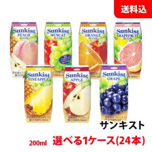 Haruna CHABAA マンゴーミックス 180ml×12本セット 送料無料