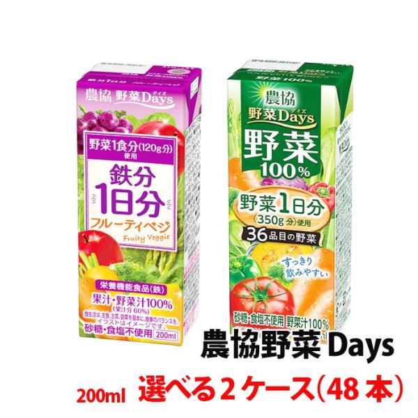 送料無料 雪印メグミルク 農協野菜Days200ml 2ケース(48本) 野菜一日分 鉄分 フルーテ...