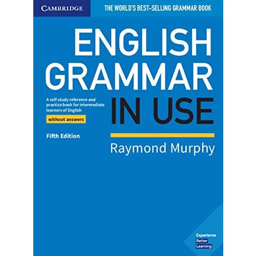 English Grammar in Use 5th Edition Book without an...