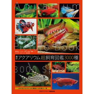 shimamura-gakufu_g0530738