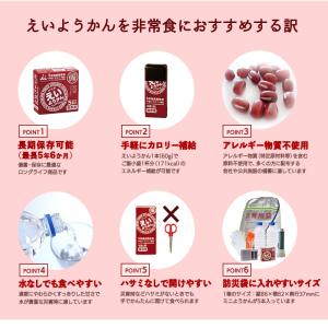 えいようかん 60g 10個 セット | 非常...の詳細画像2