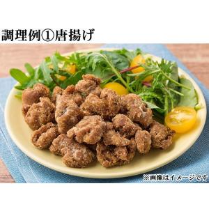 「 ダイズラボ 大豆のお肉 ブロックタイプ レ...の詳細画像5